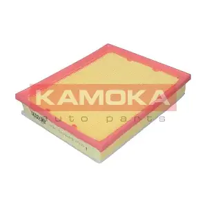 F240301 KAMOKA