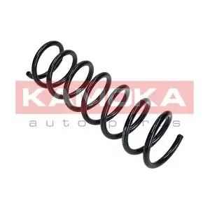 2120162 KAMOKA