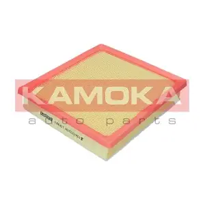 F260401 KAMOKA