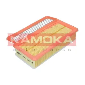 F253001 KAMOKA