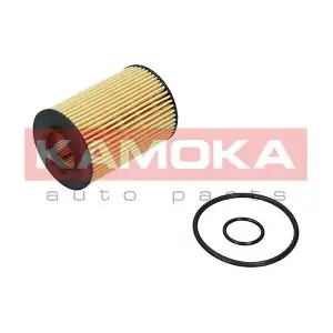 F119601 KAMOKA