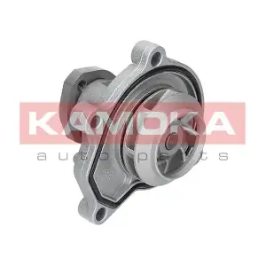 KAMOKA T0252