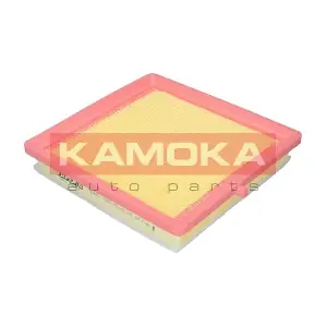 F243901 KAMOKA
