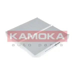KAMOKA F400901