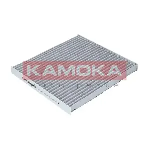 KAMOKA F504101