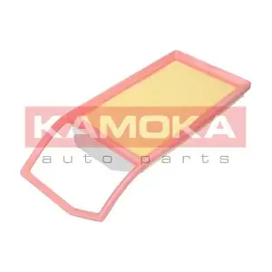 F244301 KAMOKA