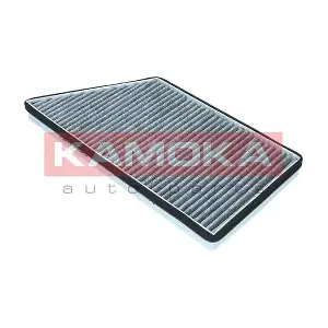 KAMOKA F501601