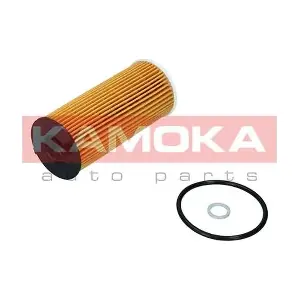 F120301 KAMOKA