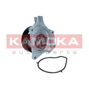 T0307 KAMOKA