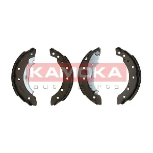 JQ202051 KAMOKA