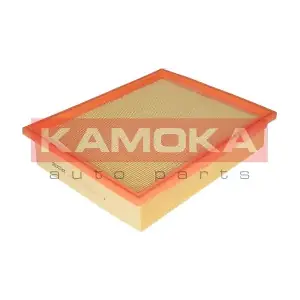 F209901 KAMOKA