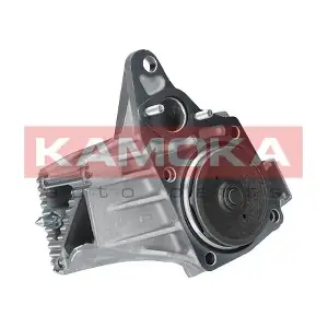 KAMOKA T0238