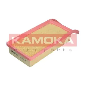 KAMOKA F223701