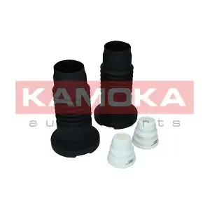 2019091 KAMOKA