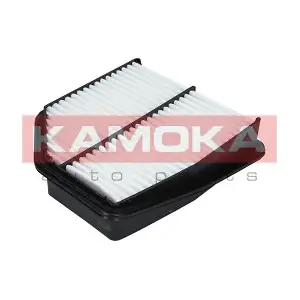 F232501 KAMOKA