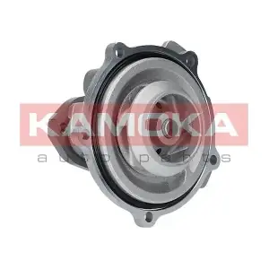 T0038 KAMOKA