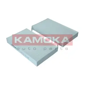 KAMOKA F422501