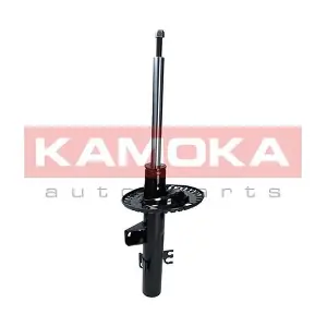 2000483 KAMOKA