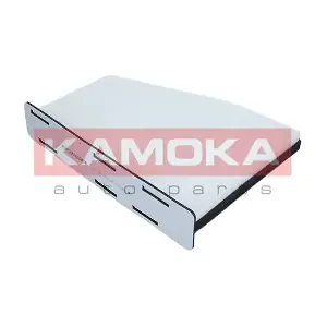 KAMOKA F401601