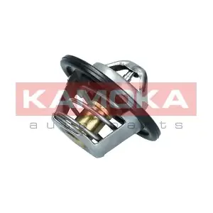 7710078 KAMOKA