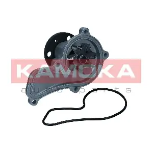 T0314 KAMOKA