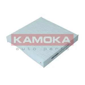 F418401 KAMOKA