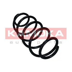 2110367 KAMOKA