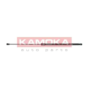 7091144 KAMOKA