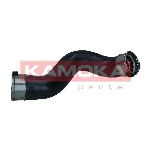 7910829 KAMOKA
