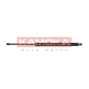 7092193 KAMOKA