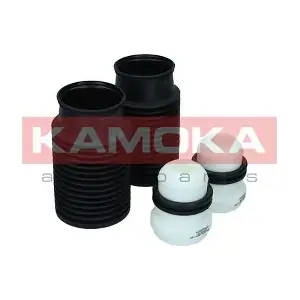 2019164 KAMOKA