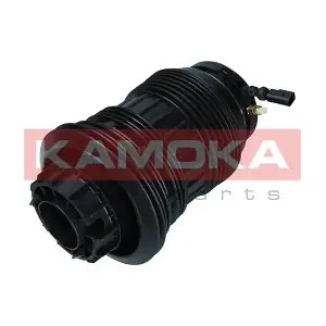 2079065 KAMOKA