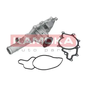 T0202 KAMOKA
