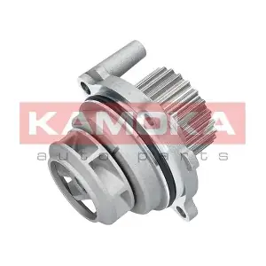 T0029 KAMOKA