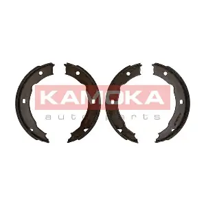 JQ212044 KAMOKA