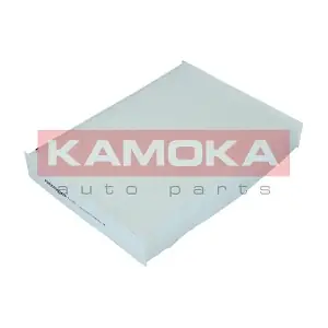 F419301 KAMOKA