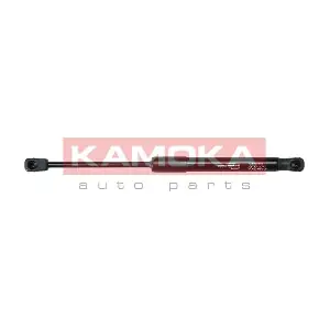 7092447 KAMOKA