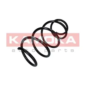 2110326 KAMOKA
