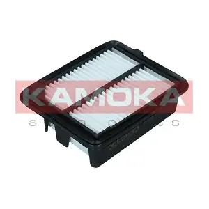 F259701 KAMOKA