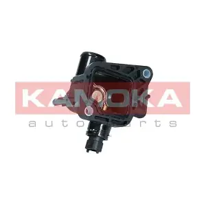 7710268 KAMOKA