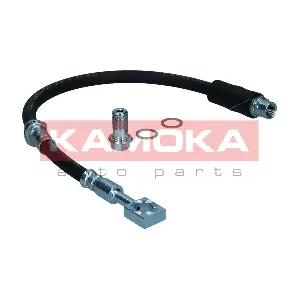 1170241 KAMOKA