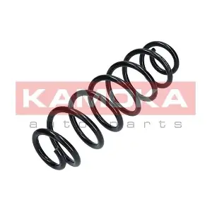 2120324 KAMOKA