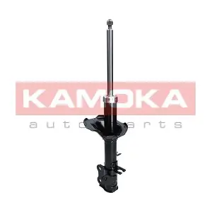 2000229 KAMOKA