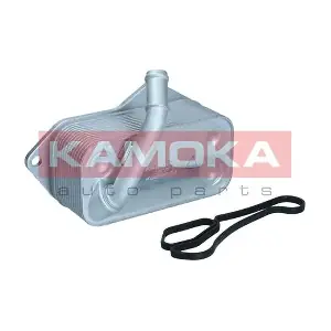 7730029 KAMOKA