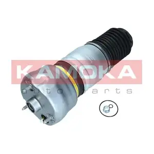 2079063 KAMOKA