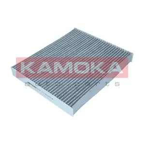 KAMOKA F513901