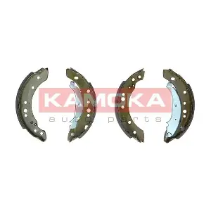JQ202083 KAMOKA
