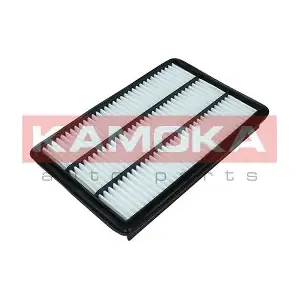 F249801 KAMOKA