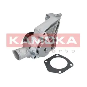 T0250 KAMOKA