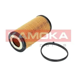 KAMOKA F110501